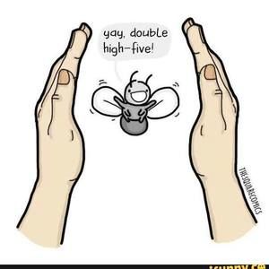 Meet your Posher, Logan